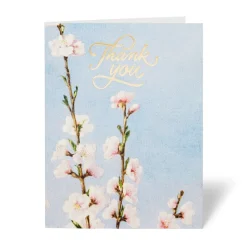The Met Store American Florals Thank-You Cards* Notecards & Correspondence
