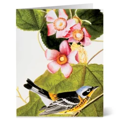 The Met Store Audubon Birds Notecards* Notecards & Correspondence