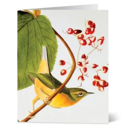The Met Store Audubon Birds Notecards* Notecards & Correspondence