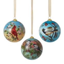The Met Store Birds of America Hand-Painted Glass Ornament Set* Ornaments