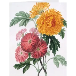 The Met Store Botanical Illustrations Notecards* Notecards & Correspondence