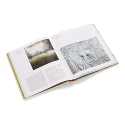 The Met Store Gerhard Richter: Painting After All* Exhibition Catalogues