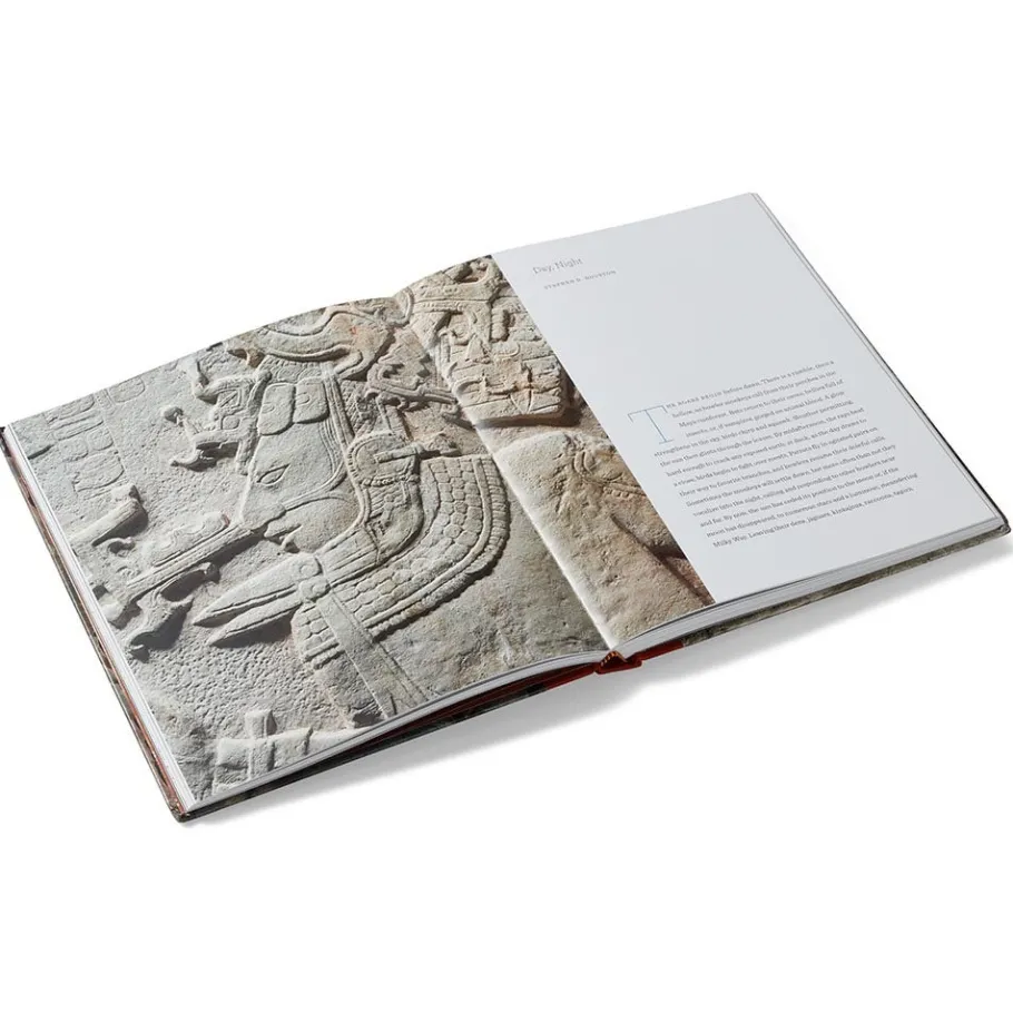 The Met Store Lives of the Gods: Divinity in Maya Art* Met Publications|Exhibition Catalogues