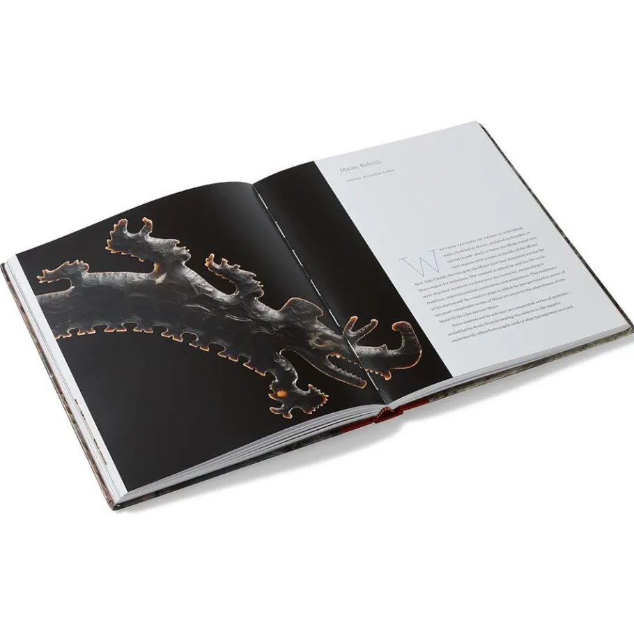 The Met Store Lives of the Gods: Divinity in Maya Art* Met Publications|Exhibition Catalogues