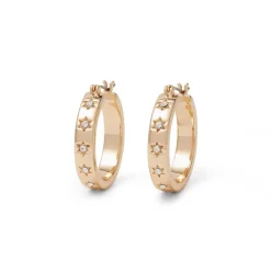 The Met Store Star Hoop Earrings* Earrings