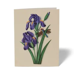 The Met Store The Met Cloisters Garden Notecards* Notecards & Correspondence
