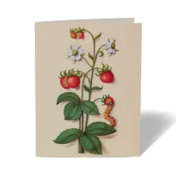 The Met Store The Met Cloisters Garden Notecards* Notecards & Correspondence