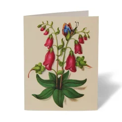 The Met Store The Met Cloisters Garden Notecards* Notecards & Correspondence