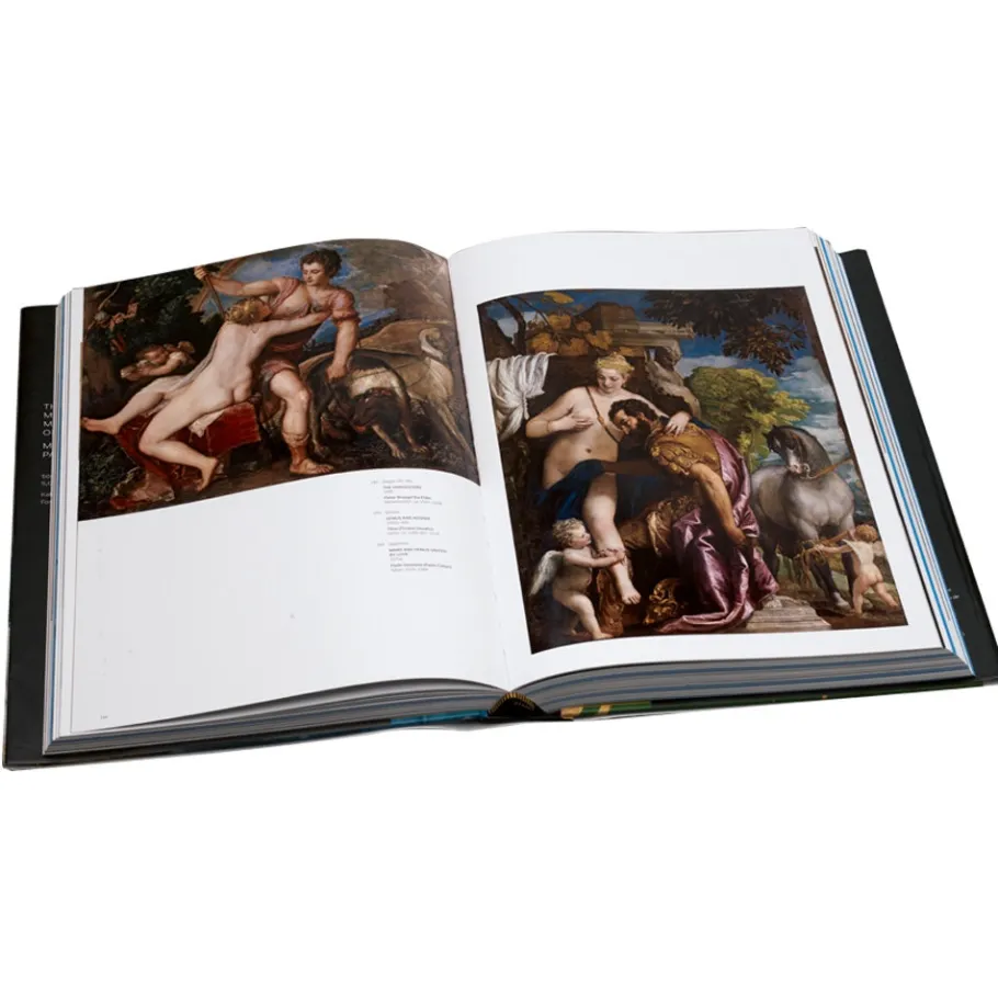 The Met Store The Metropolitan Museum of Art: Masterpiece Paintings* Coffee Table Books|Met Publications