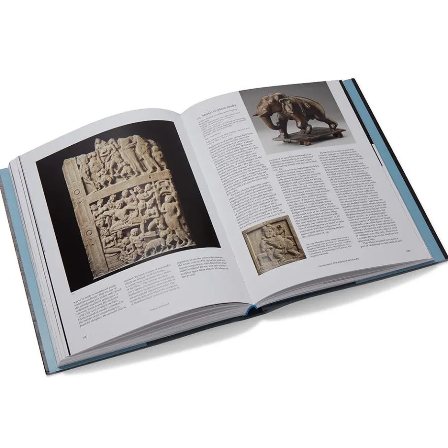The Met Store Tree & Serpent: Early Buddhist Art in India* Met Publications|Exhibition Catalogues