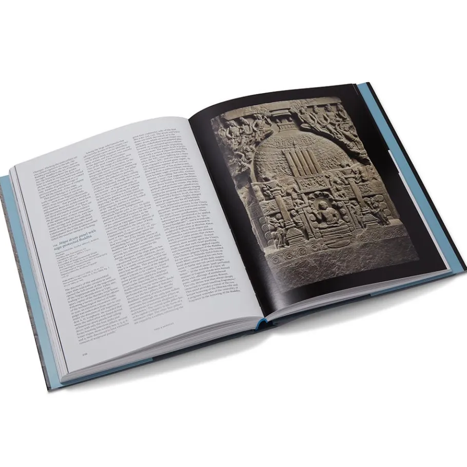 The Met Store Tree & Serpent: Early Buddhist Art in India* Met Publications|Exhibition Catalogues